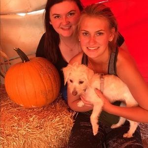 Meet your Posher, Katie